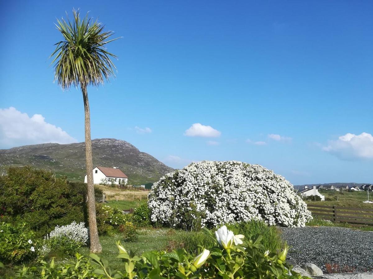 Brae Lea House, Lochboisdale, South Uist. Outer Hebrides Bed and Breakfast Eksteriør billede